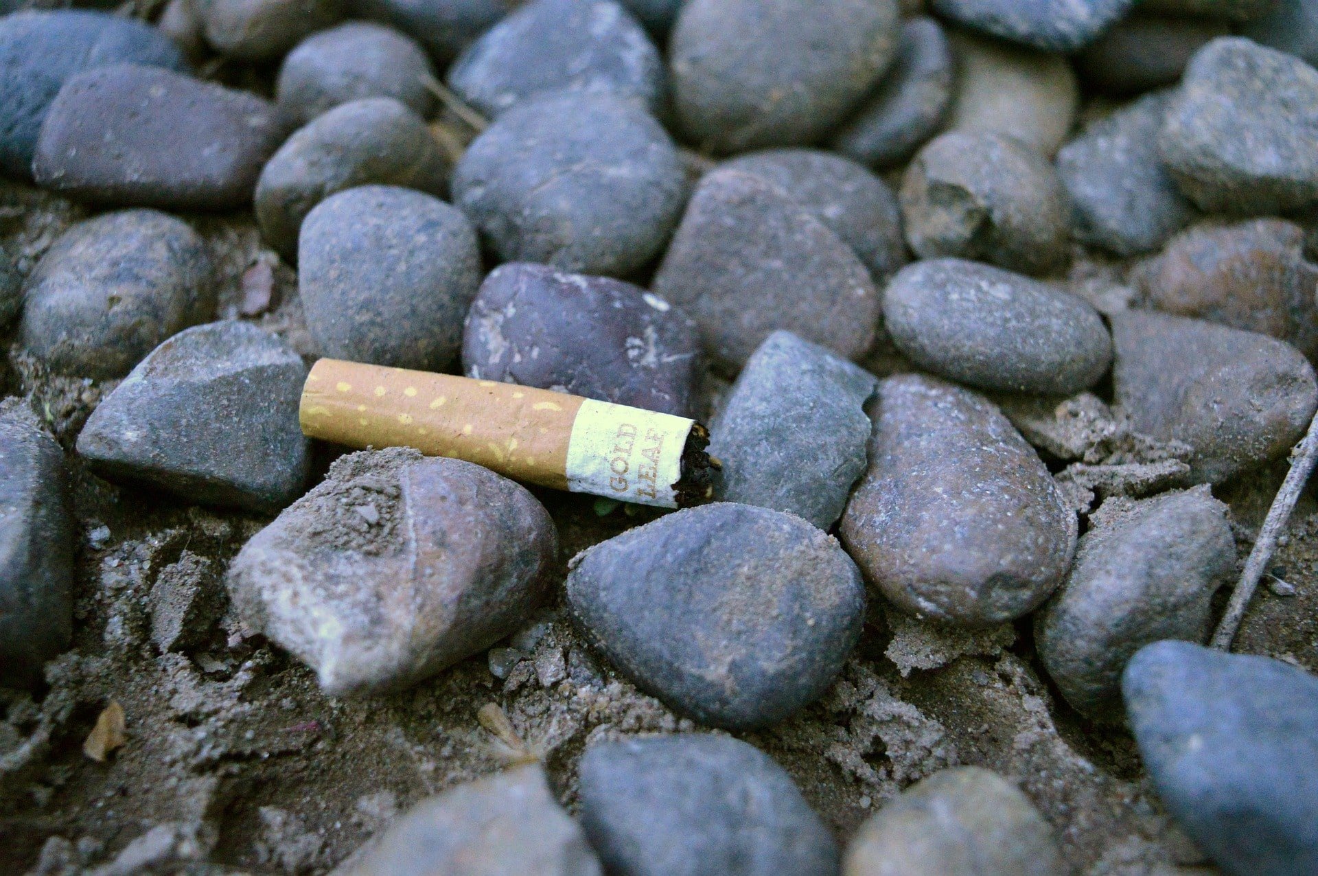 cigarette butt on beach no credit needed
