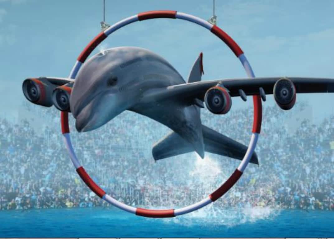 British Airways continues to back dolphin captivity - Whale and