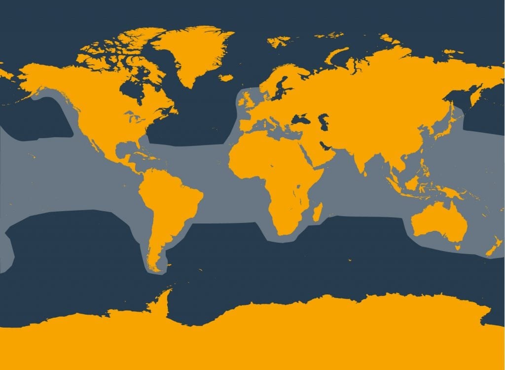 False killer whale distribution map