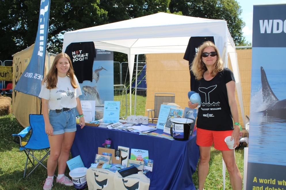 WDC volunteers at a festival