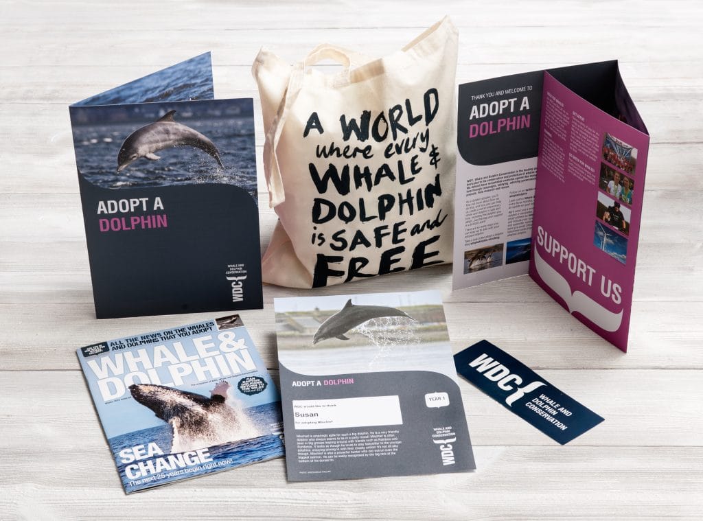 adopt a dolphin pack