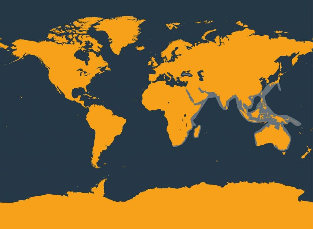 Indo-pacific bottlenose dolphin distribution map