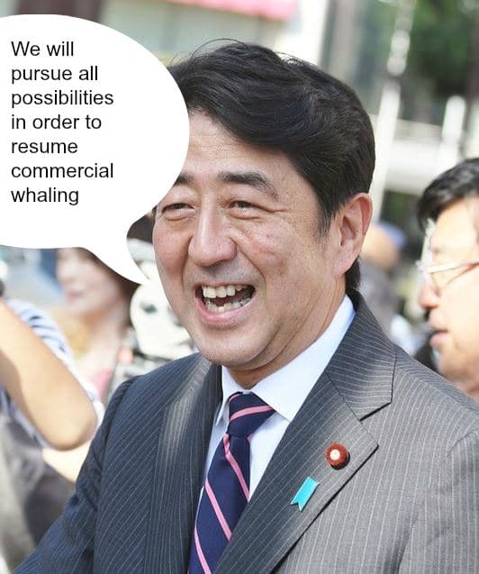 Japanese prime minister wants to resume commercial whaling