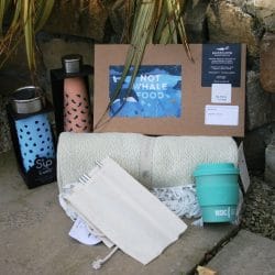 Shop, reuse and recycle for whales and dolphins