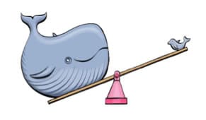how-big-is a-blue-whale
