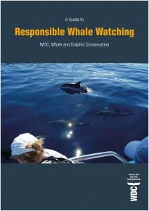 Responsible whale watching