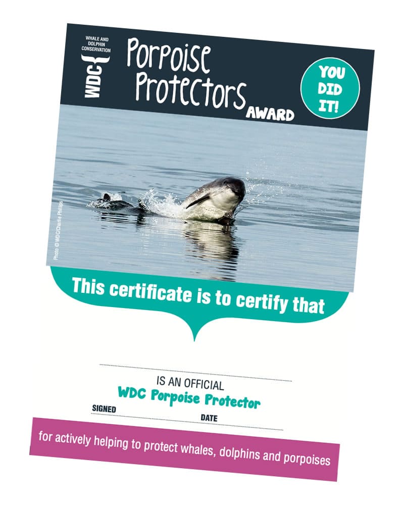 WDC Porpoise Protector Award