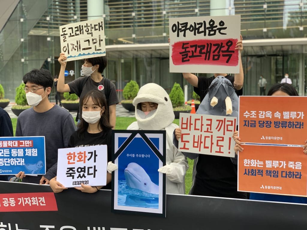 Protest in Korea 2020 © KAWA