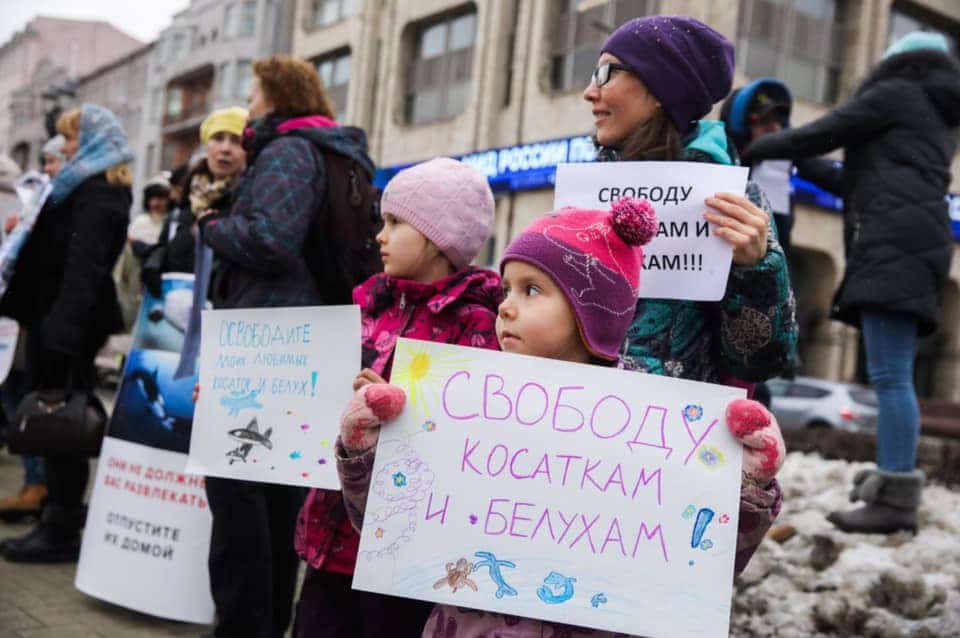 A new generation of protesters in Russia © FreeRussianWhales.org