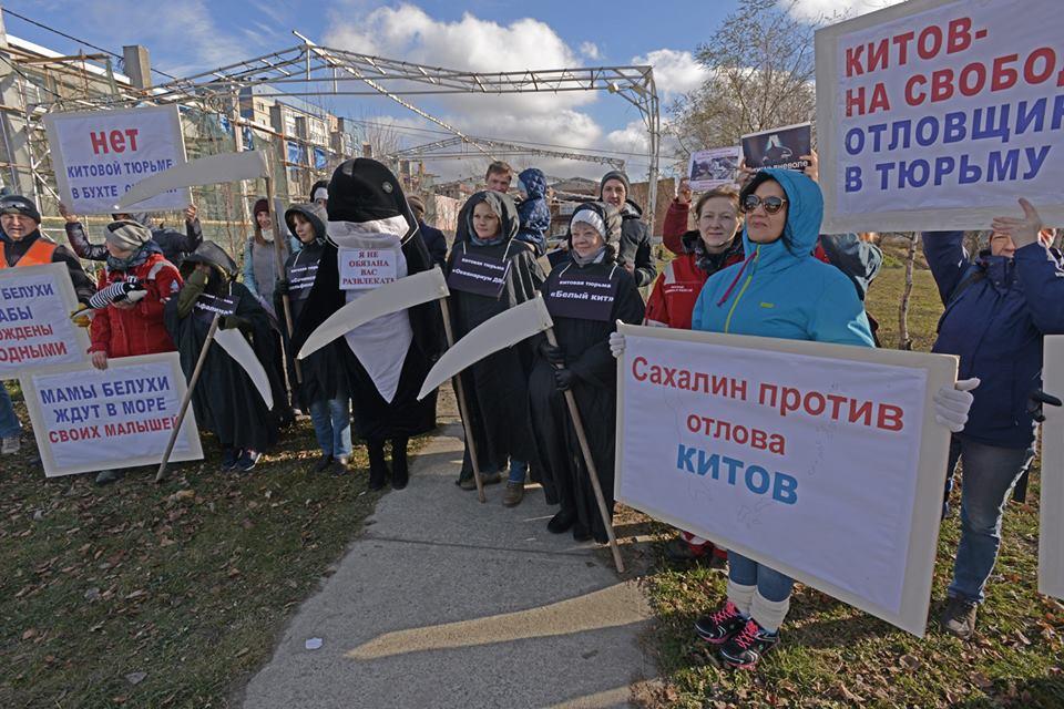 Russians protesting the whale jail © FreeRussianWhales.org