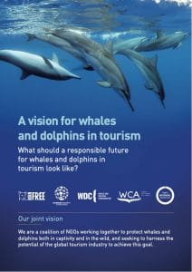 Vision for whales and dolphin in tourism report