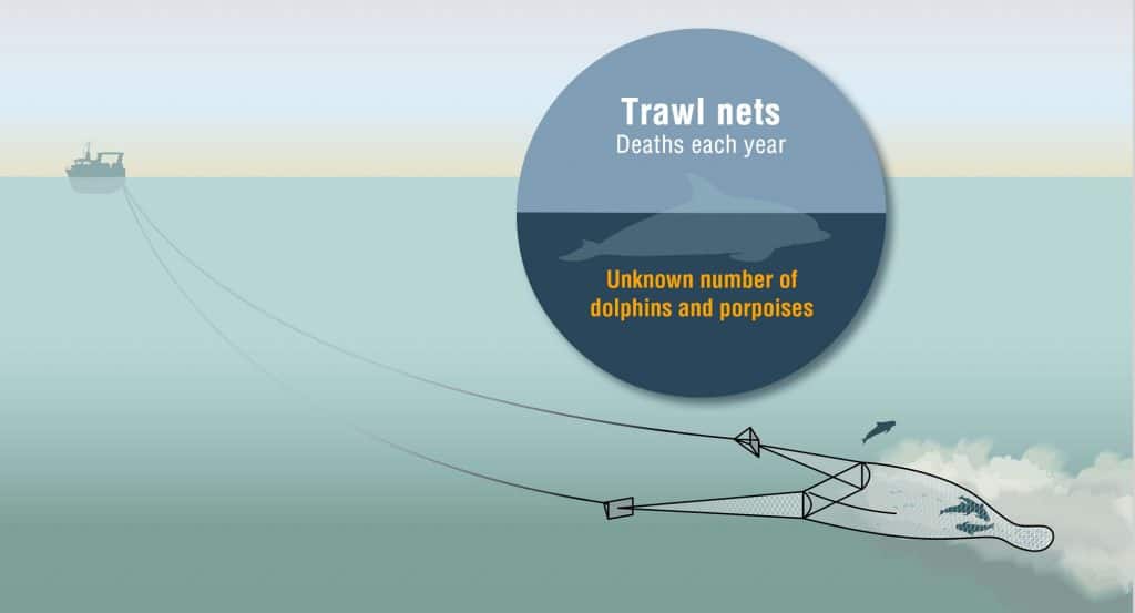 Trawl net