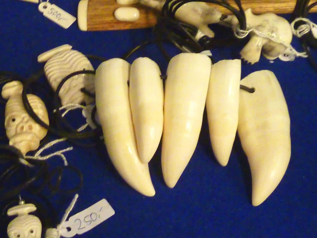 Orca tooth necklace for sale in Greenland