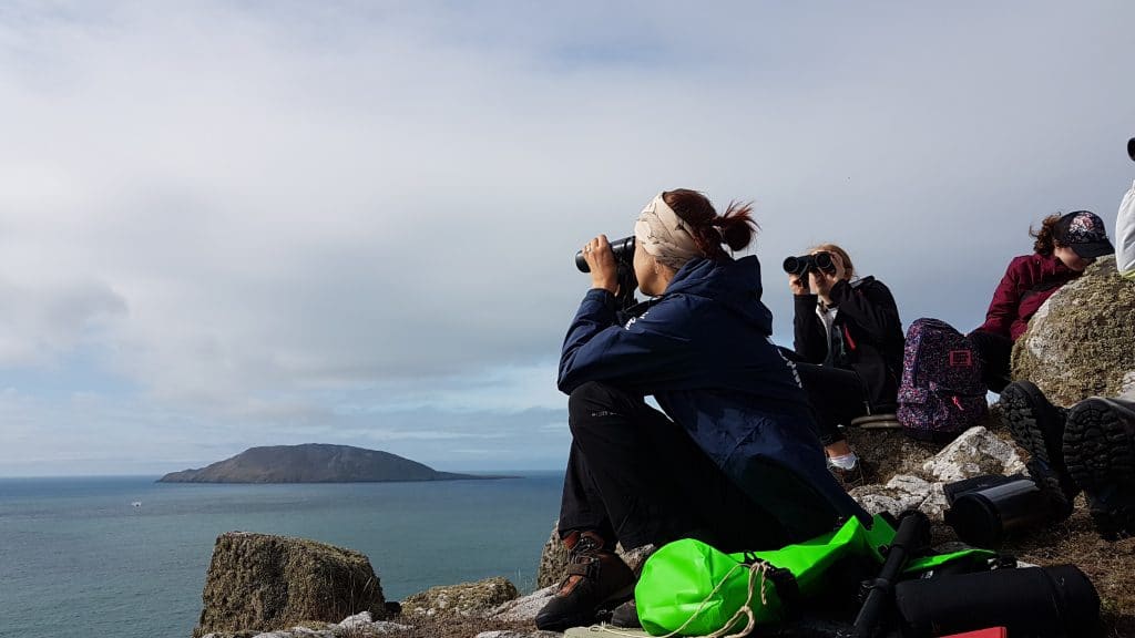 WDC team looking out for dolphins and porpoises around Bardsey Island