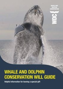 Guide to leaving a gift in your Will to help whales and dolphins