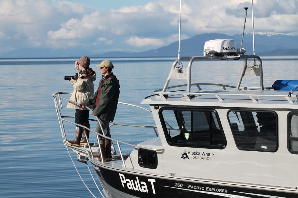 Researchers in Southeast Alaska © Alaska Whale Foundation