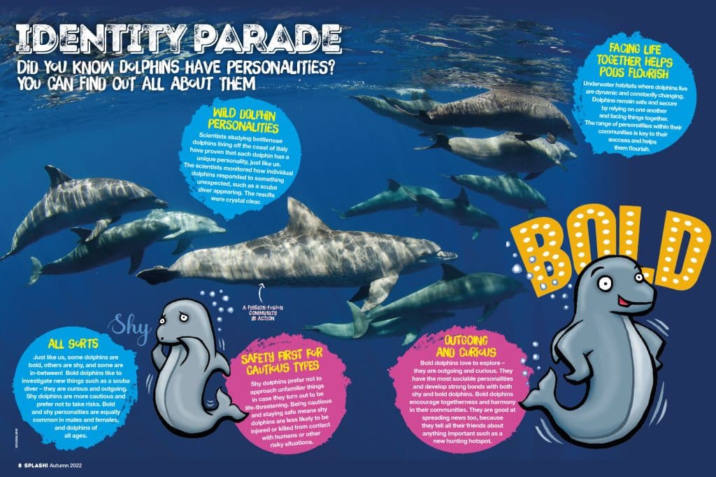 Dolphin Personality Type Explained. Characteristics of the Dolphin: Career,  Strengths and Weaknesses