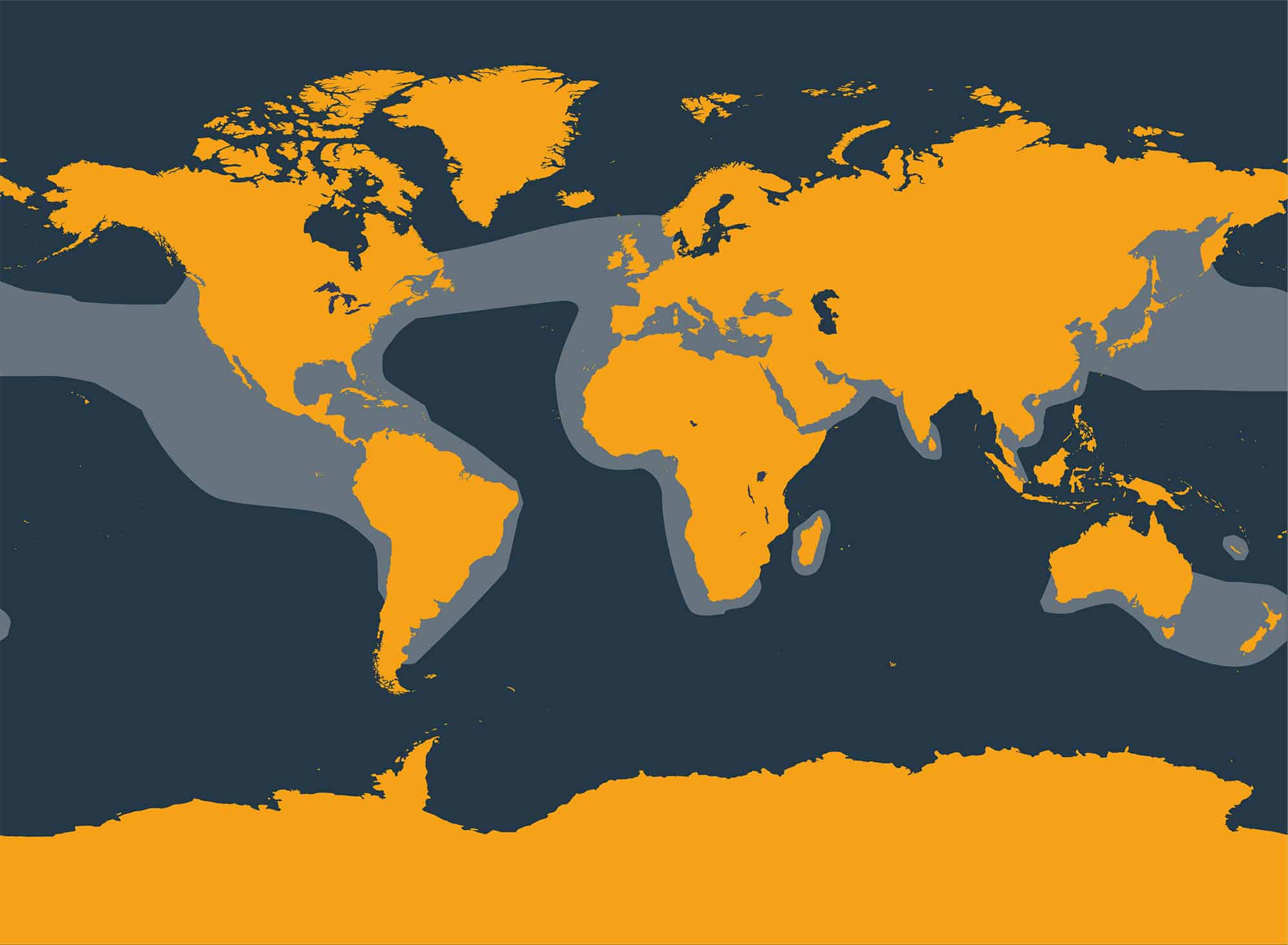 Common dolphin distribution map