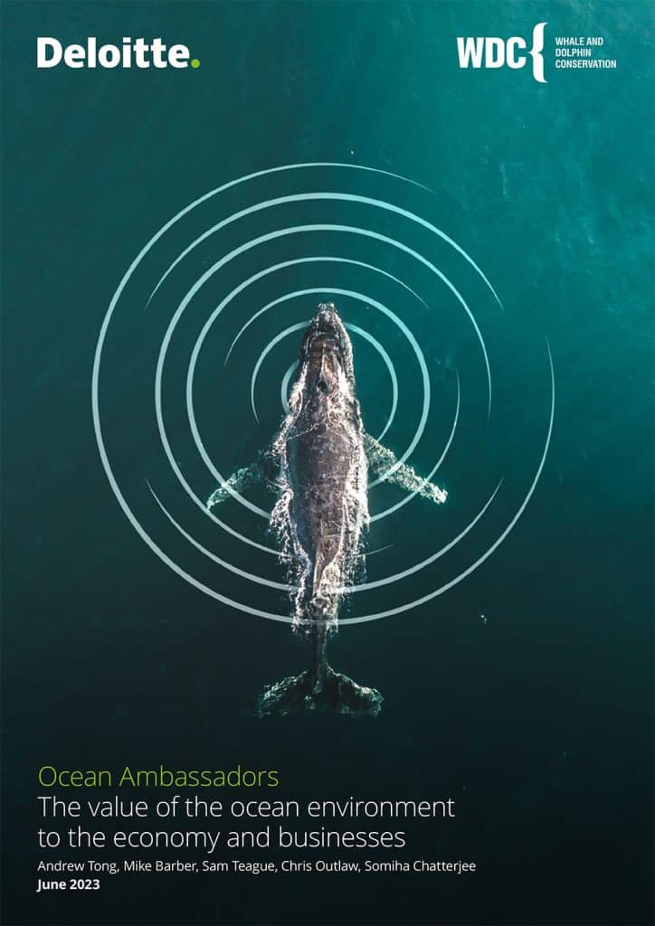 Deloitte WDC ocean business biodiversity report