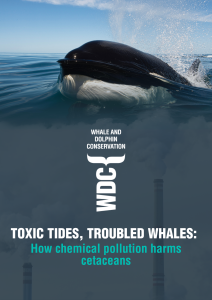 Toxic Tides, Troubled Whales (4)
