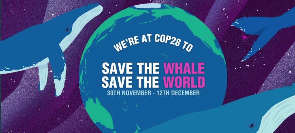 We're at COP28 to Save the Whale, Save the World.
