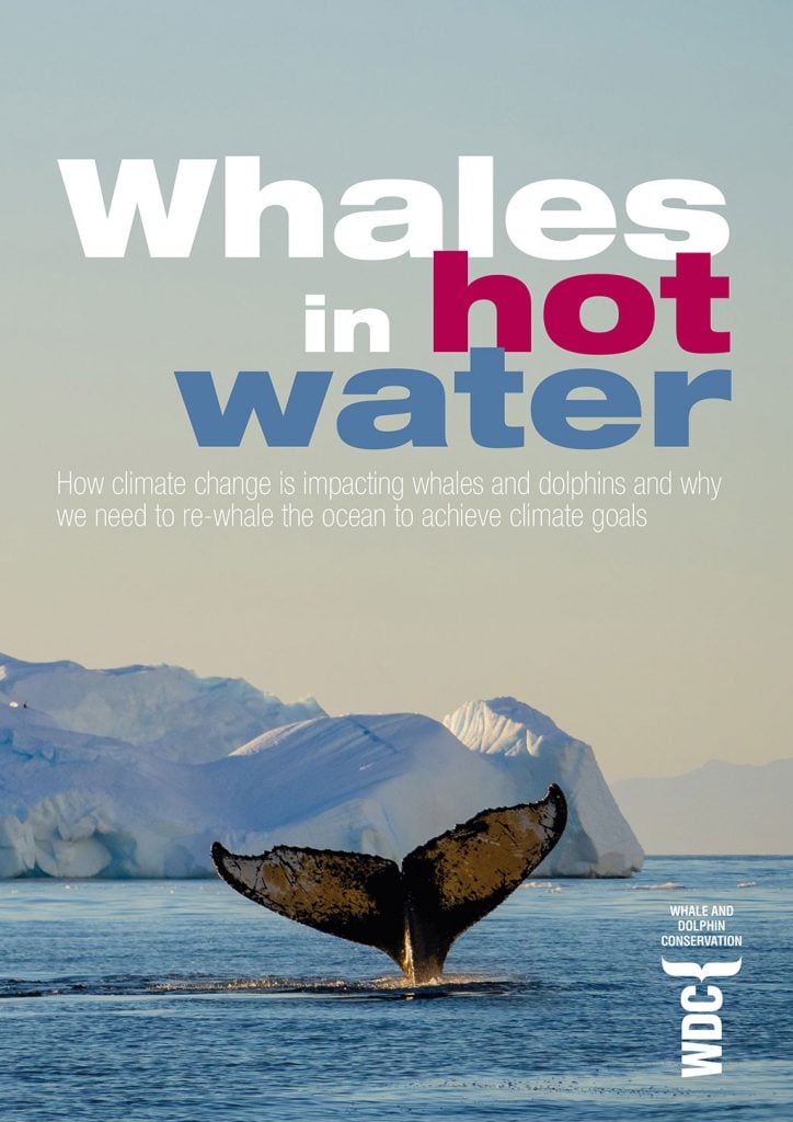 Whales in hot water report cover