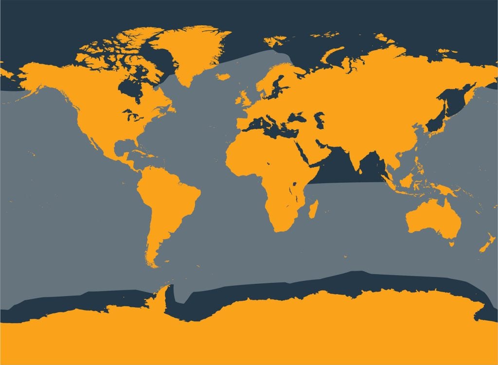 Sei whale distribution map