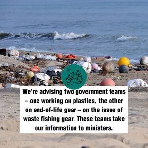 We’re advising two government teams – one working on plastics, the other on end-of-life gear – on the issue of waste fishing gear. These teams take our information to ministers.