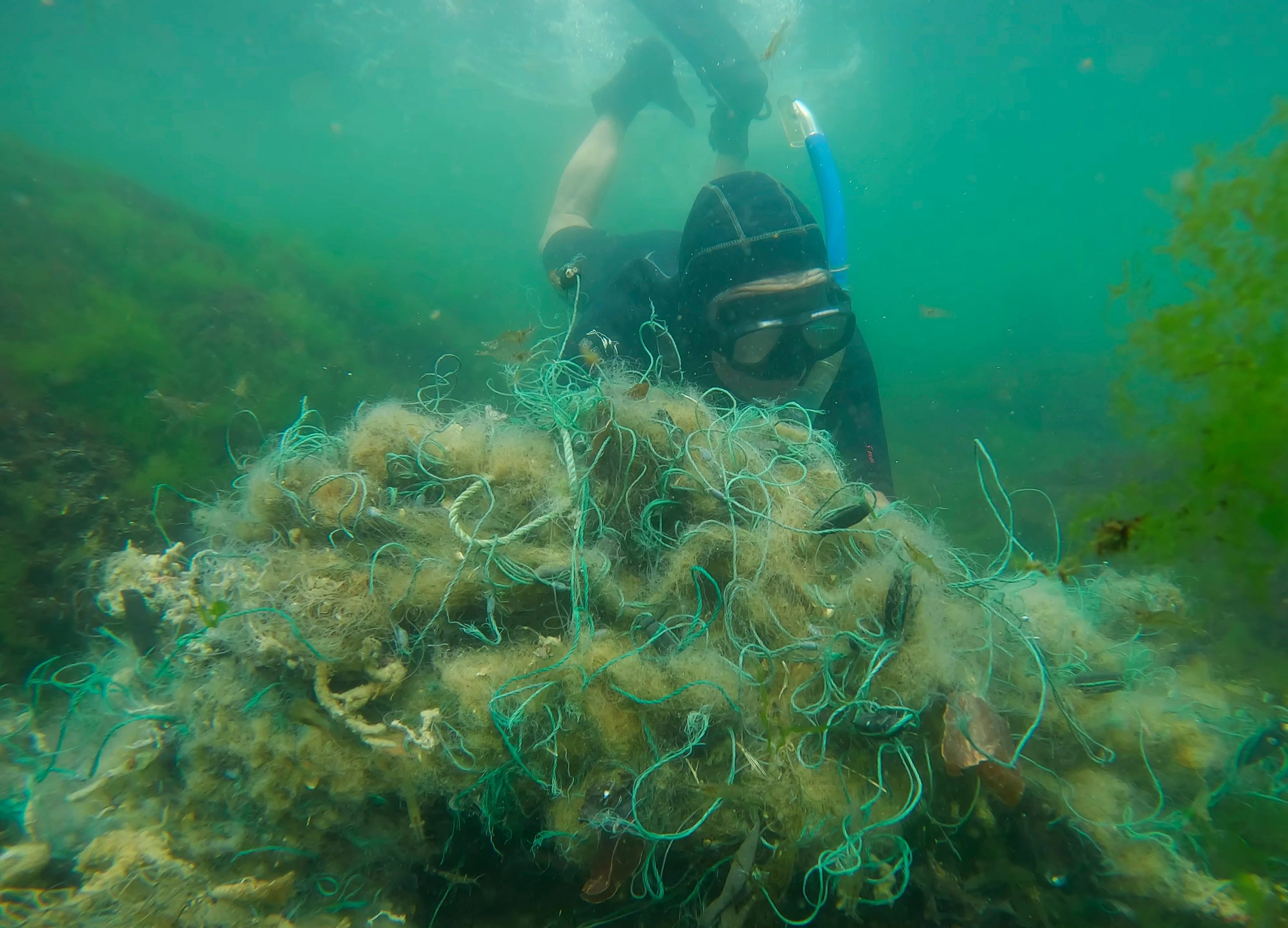 Freediver,Picks,Up,Lost,Fishing,Net,Lies,On,Green,Algae
