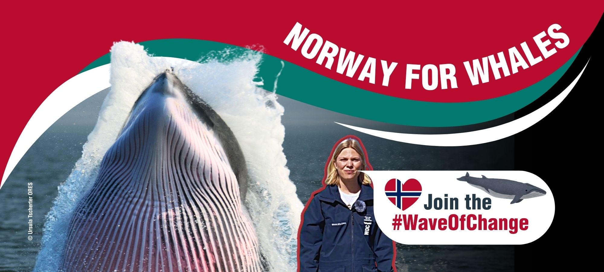 Join a wave of change in Norway