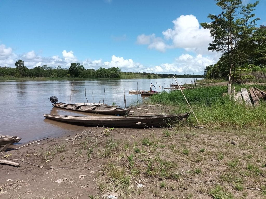 Grow Rice Icon Protecting Amazon River dolphins in Colombia - Whale and Dolphin ...