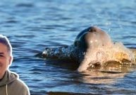 Bolivian River Dolphin swimming and a headshot of Dr Enzo smiling