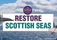 Text: Restore Scottish Seas Image: Coastal view of the ocean and cutouts of dolphins