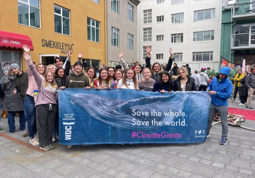 WDC joins local protesters on anti whaling march in Iceland