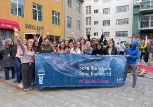 WDC joins local protesters on anti whaling march in Iceland