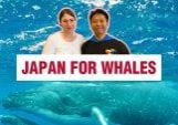 We’re working with people within Japan to protect whales.