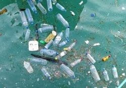 A plastic bottle can travel thousands of miles