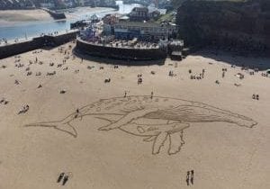 Sand art whale and calf on UK beach