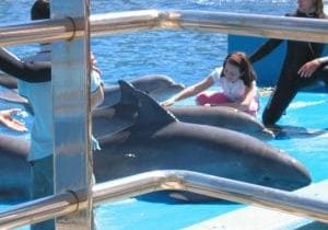 Captivity is cruel for dolphins
