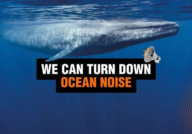 We can reduce noice in the ocean banner
