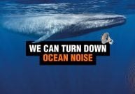 We can reduce noice in the ocean banner