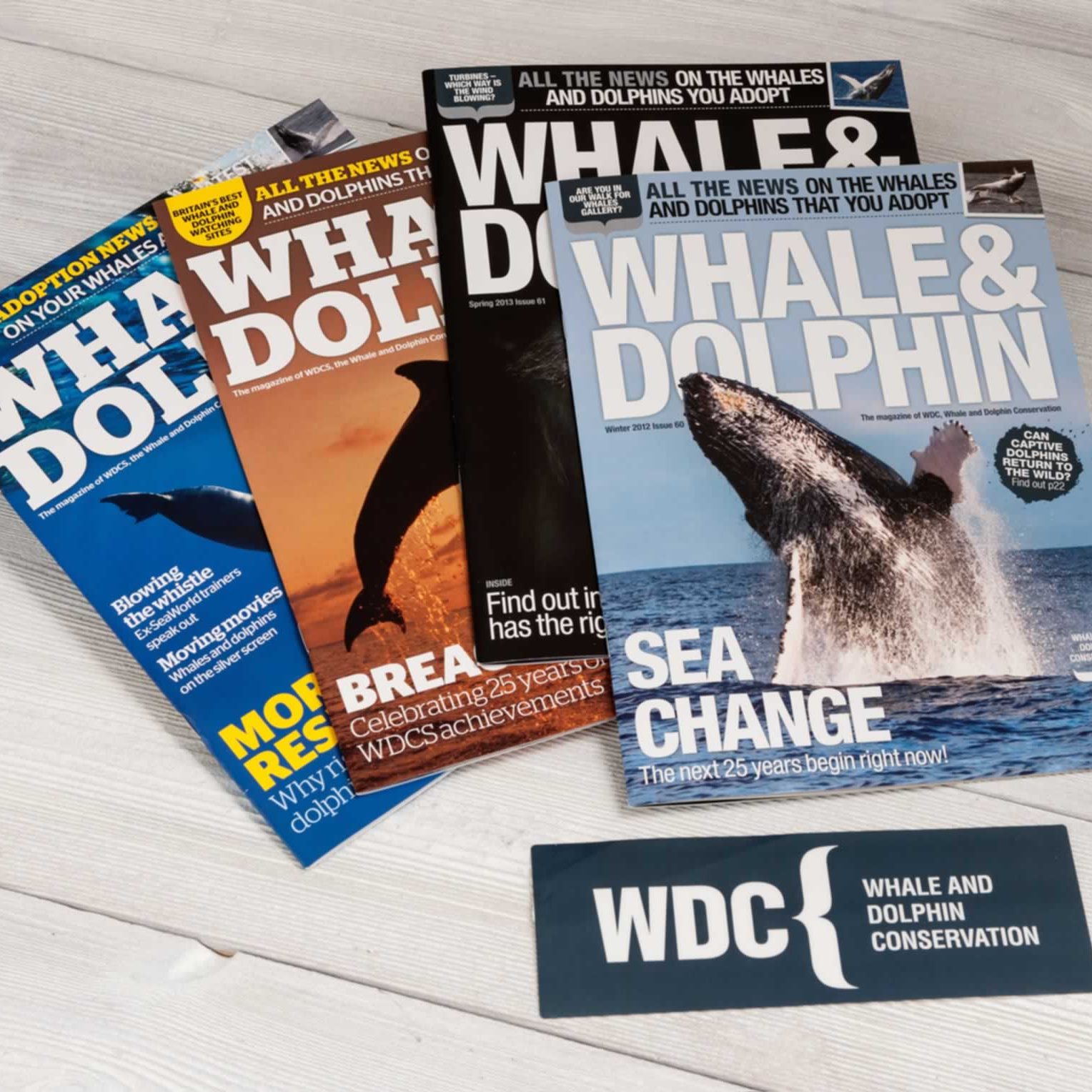 Whale and Dolphin magazine