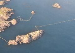 Nets set in Norway to catch minke whales